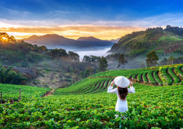 Munnar Tour Packages from Kerala